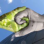 Экологическое сопровождение